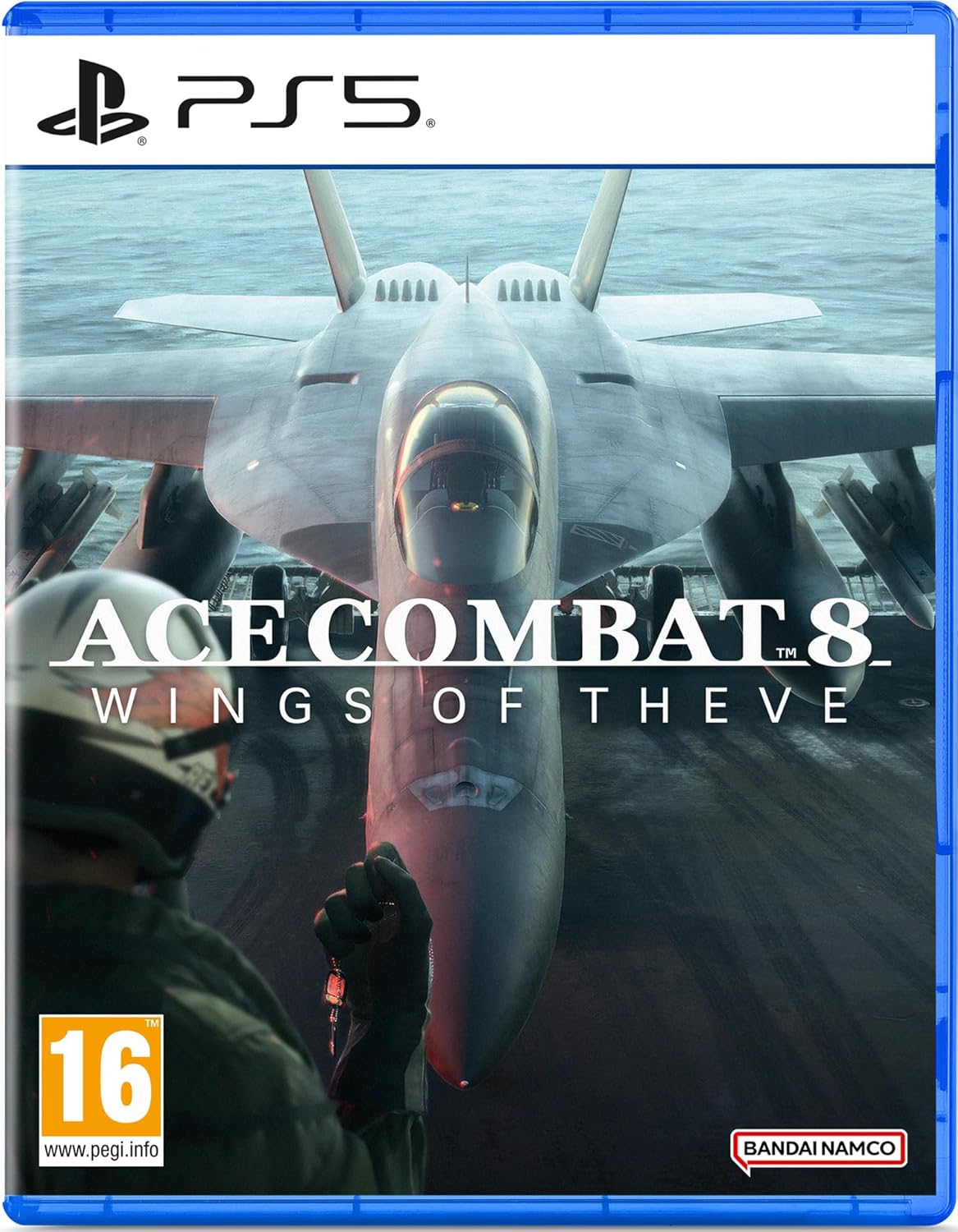 Ace Combat 8 Wings of Theve PS5