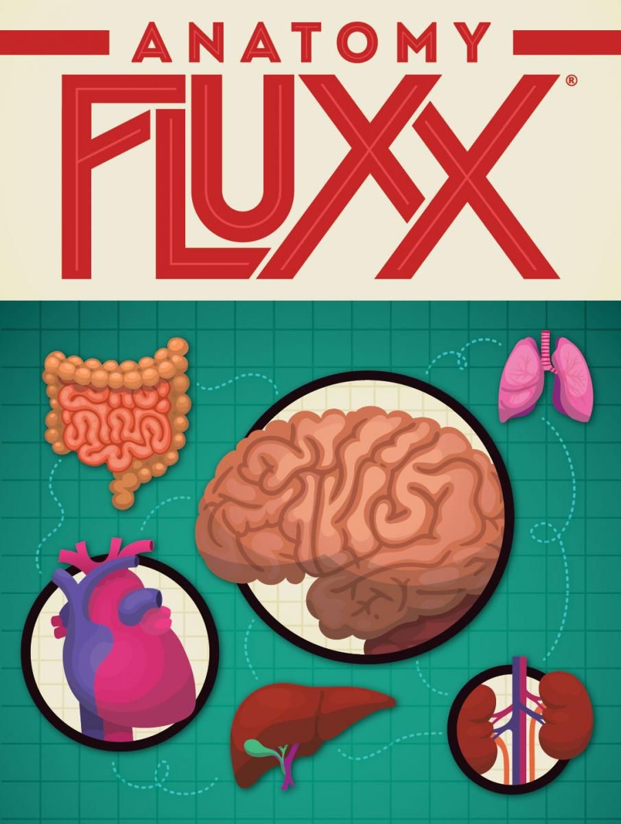 Anatomy Fluxx Board Game